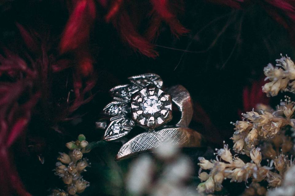Sara Crinnion Photography
