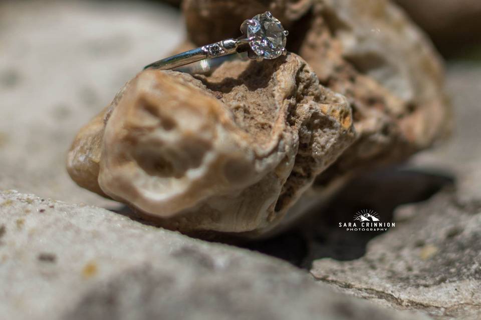 Sara Crinnion Photography