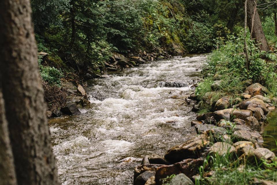 Rushing Chicago Creek