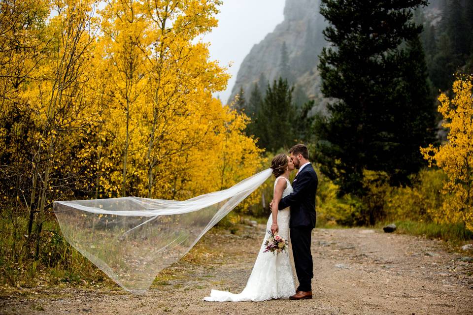 Fall Aspen Colors