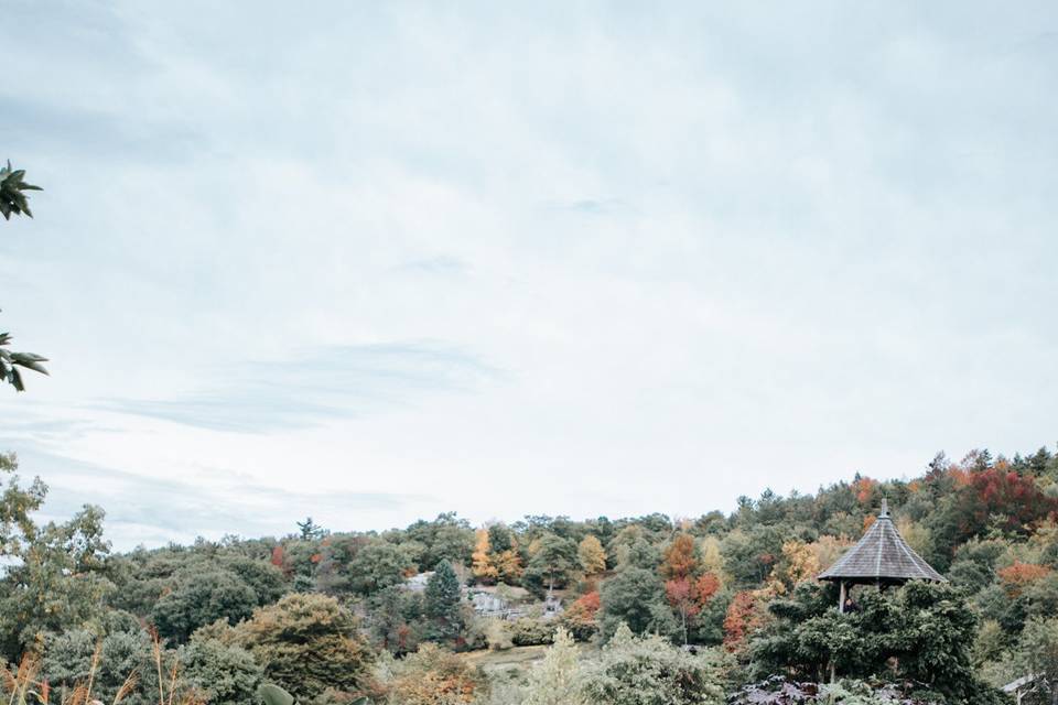 Laura Kobes Photography