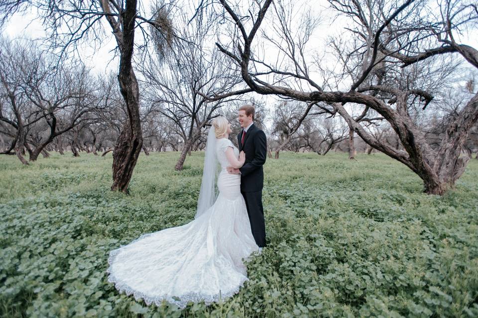 Laura Kobes Photography