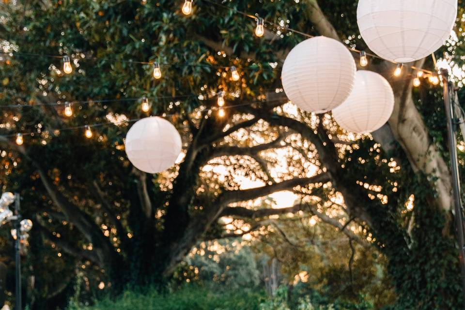 Gorgeous tablescape