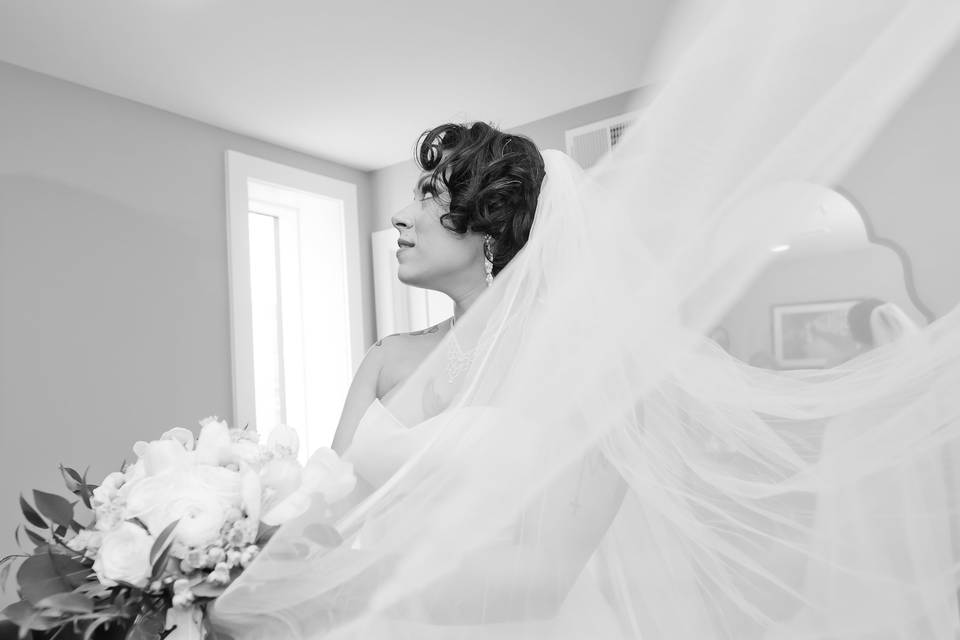 Dramatic photo with veil