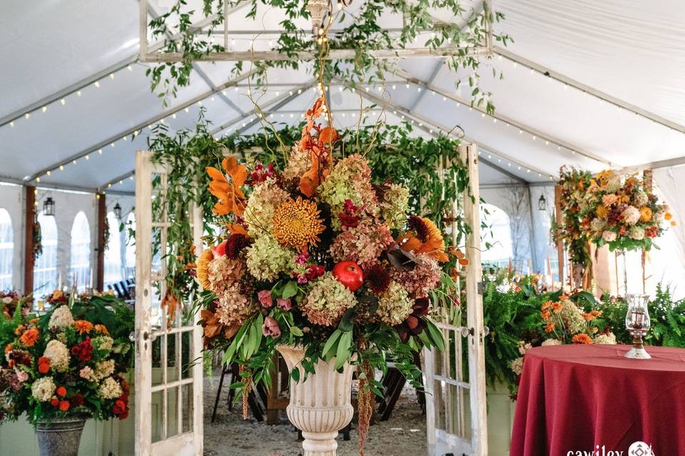 Antique doors in tent
