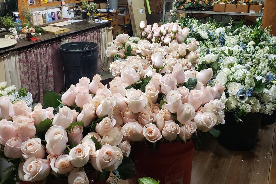 Foster Hill Floral sudio