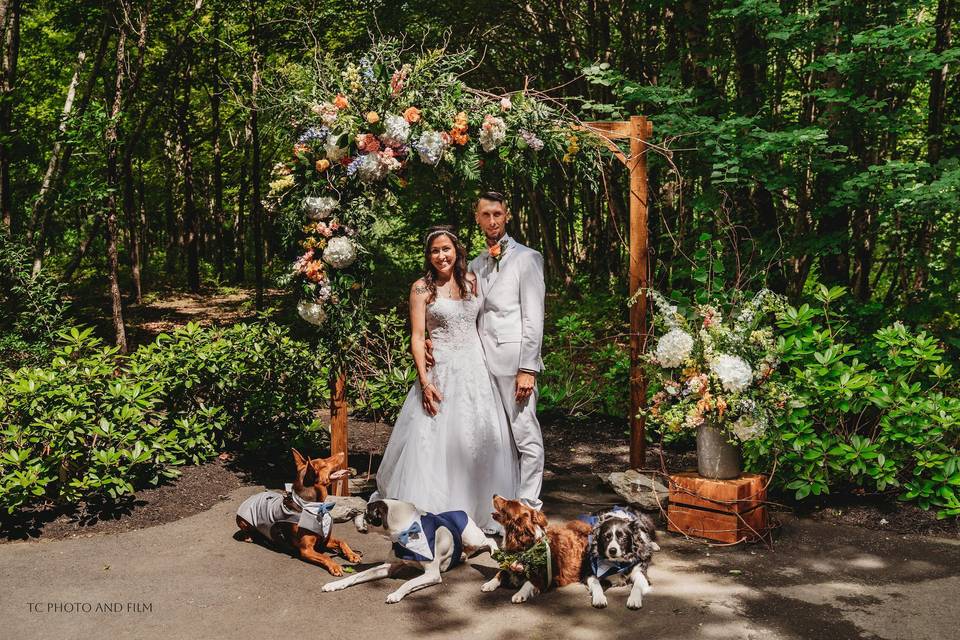 Woodland arch florals vine