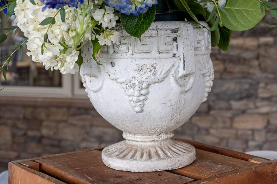 Hydrangea in cement urn