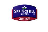 Springhill Suites by Marriott Chicago Elmhurst/Oakbrook Area
