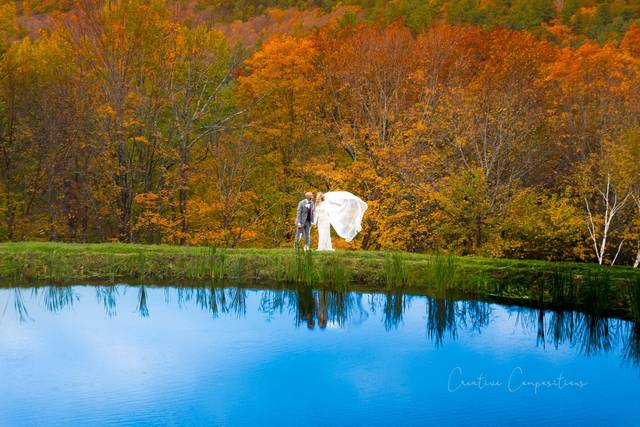 Pond Shoot
