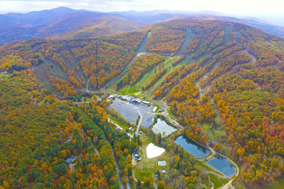 Catamount in Fall