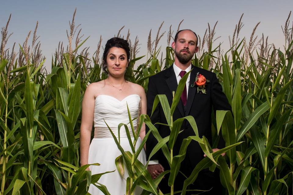 Bride and groom in corn field