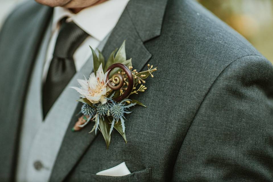 Blushing bride protea