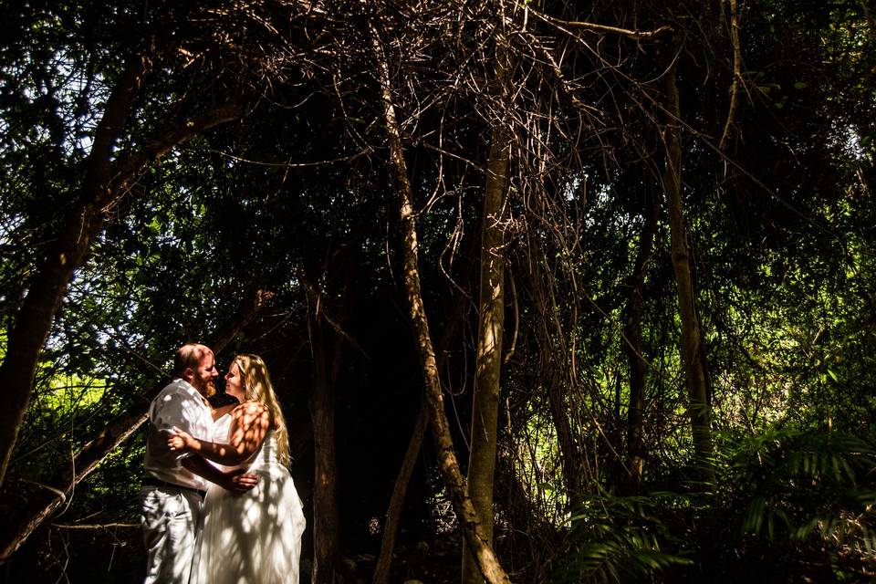 Trash the Dress