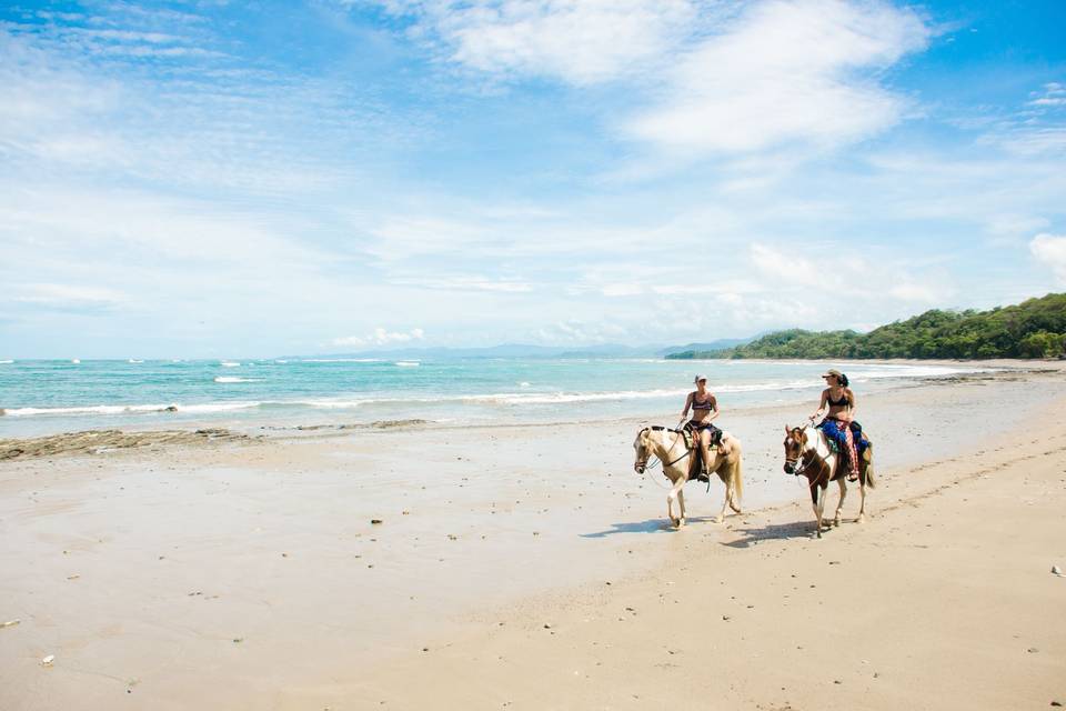 Horseback ride, Costa Rica
