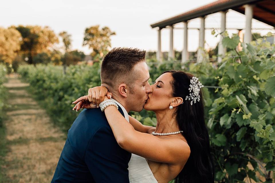 Love in the Vineyard