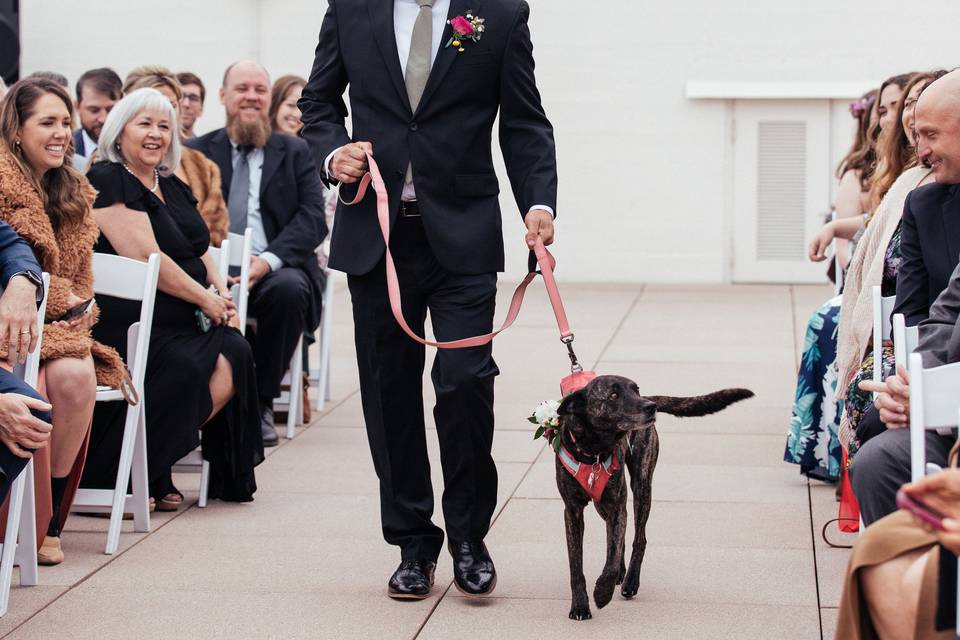 Rooftop Ceremony