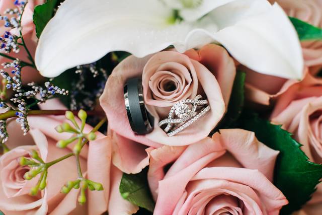 Camera Chicks Photography