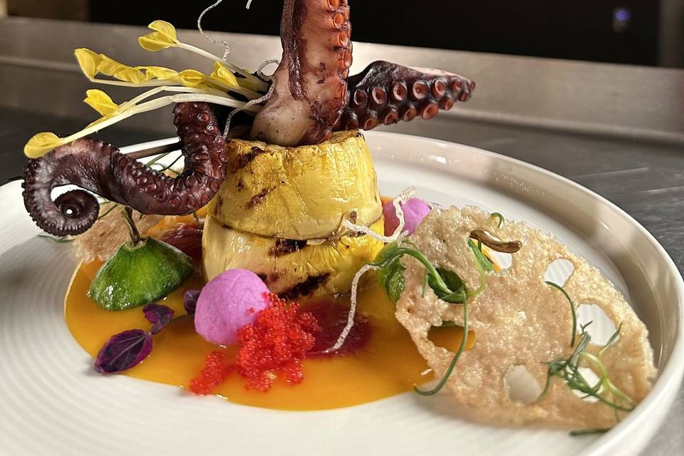 Octopus