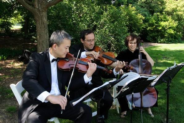 Outdoor wedding performed by the string trio