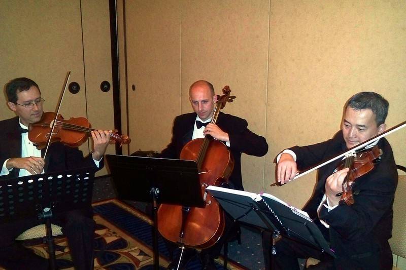 String trio