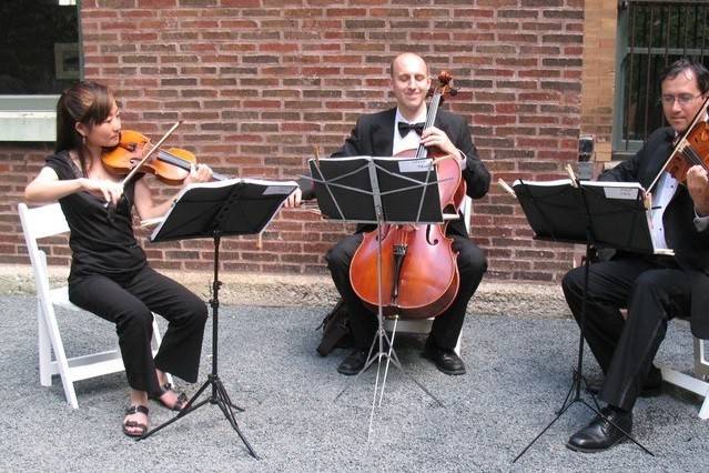 String trio