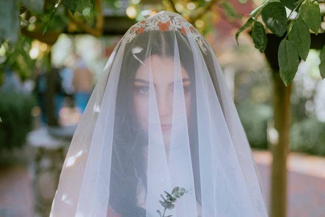 Bride under veil