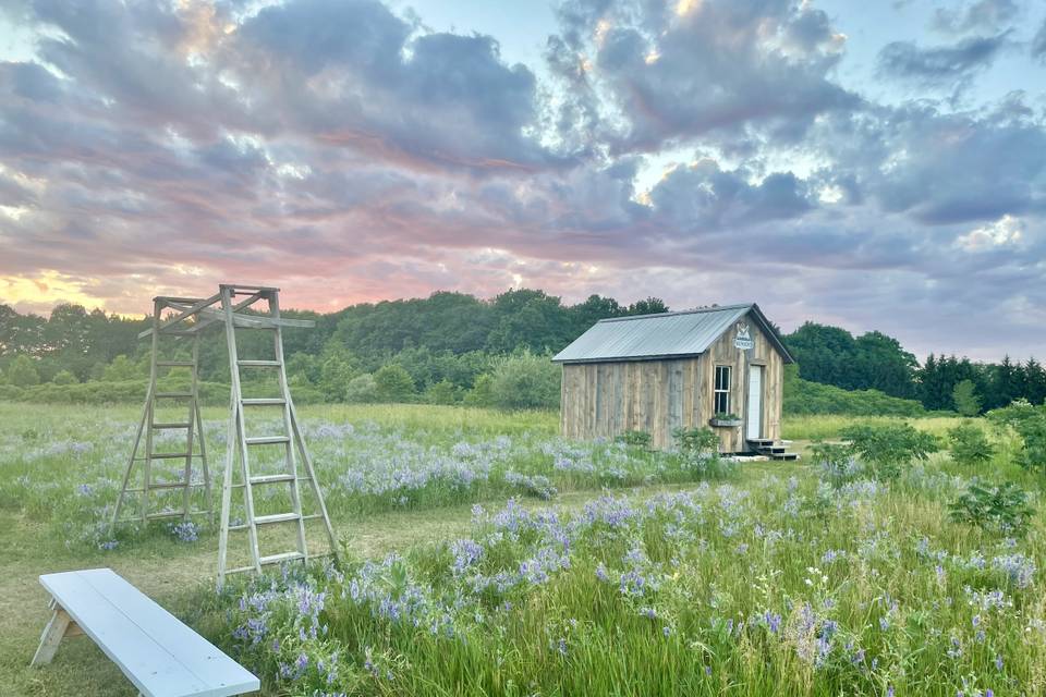 Founder's cabin