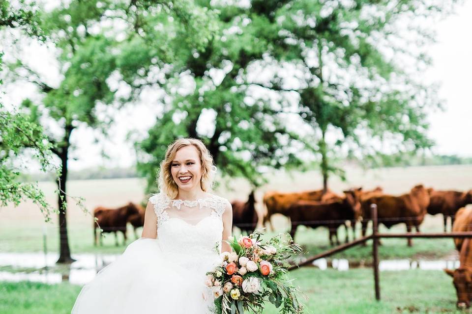 Bride with Cows | LCP