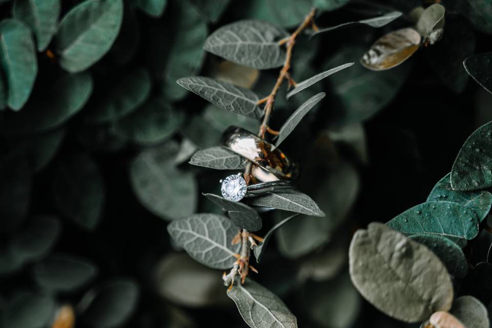 Bridal Portrait