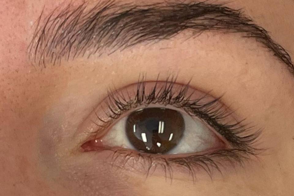 Brows and lashes