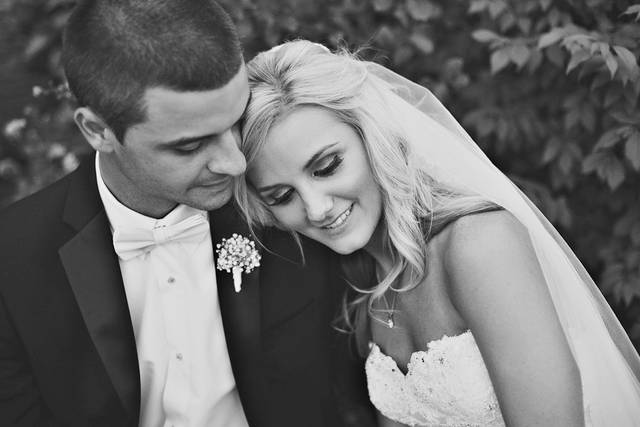 studio d photography