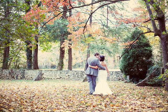 studio d photography