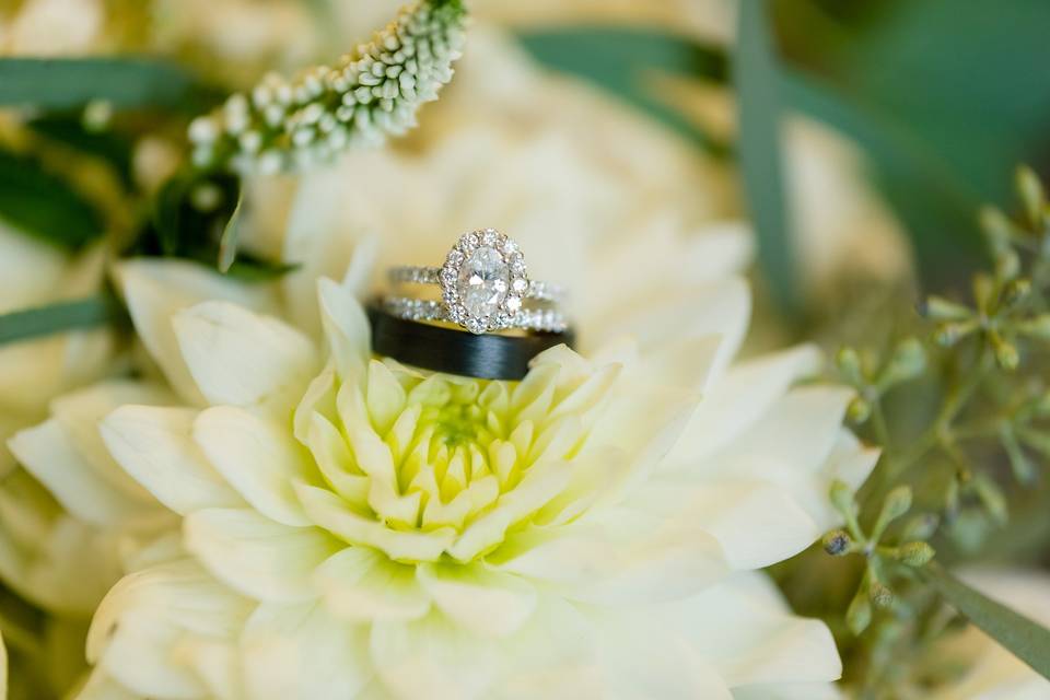 Ring Floral Shots