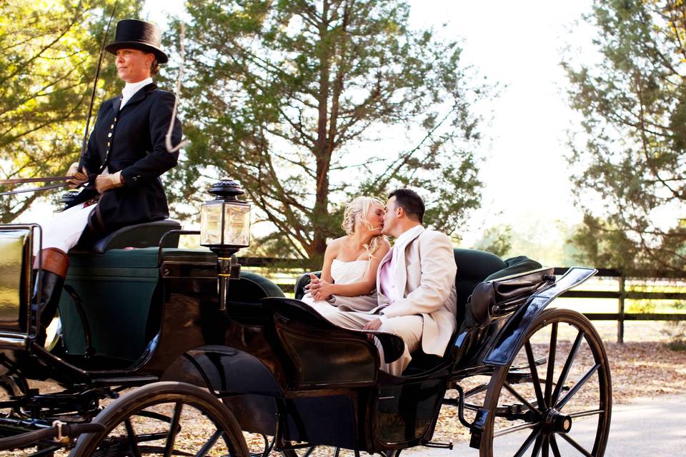 Couple kissing on carriage