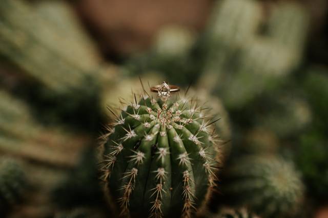 A natural detail - Meghan Lynn Photography