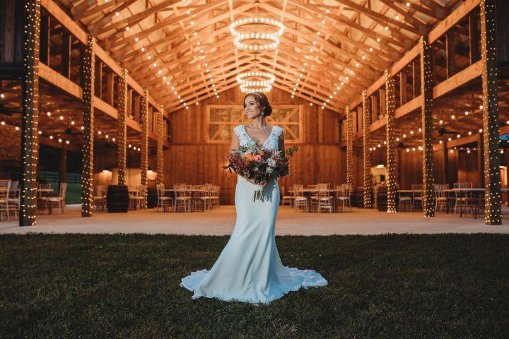 Beautiful lights
