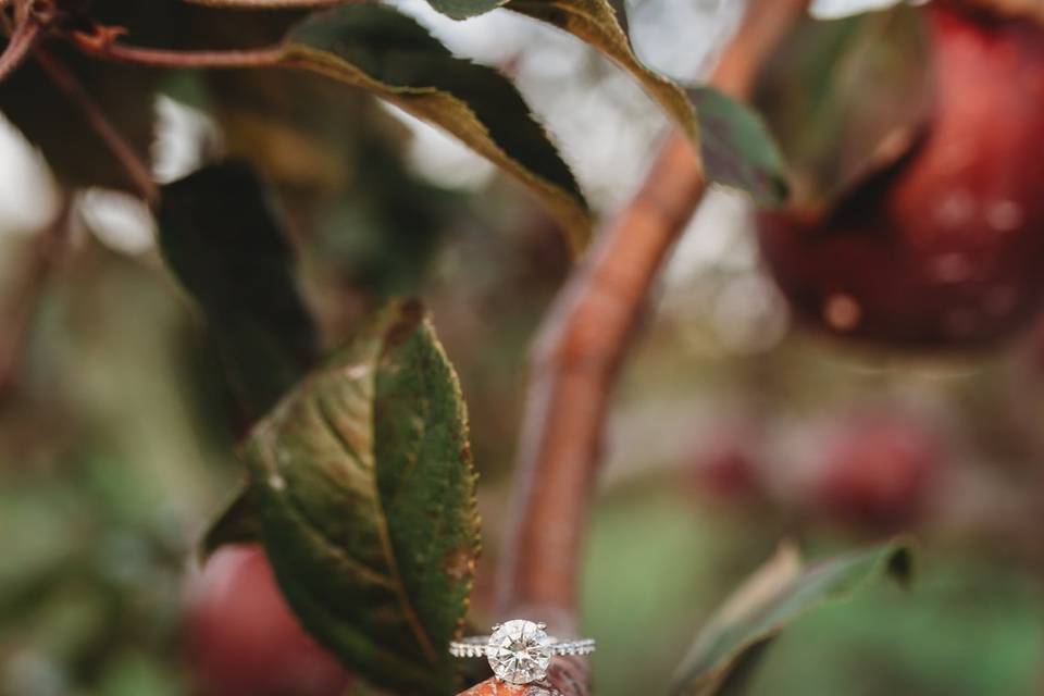 Bridal protrait in the orchard