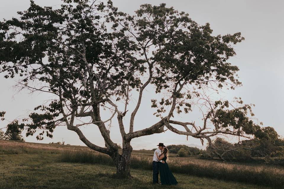 Romantic orchard setting