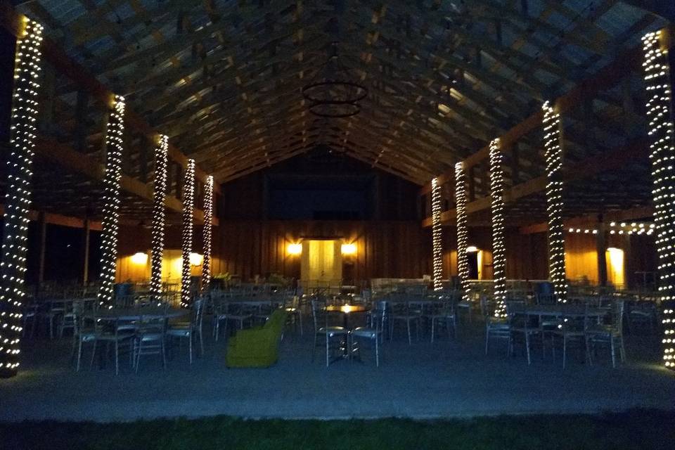 Gorgeous lights