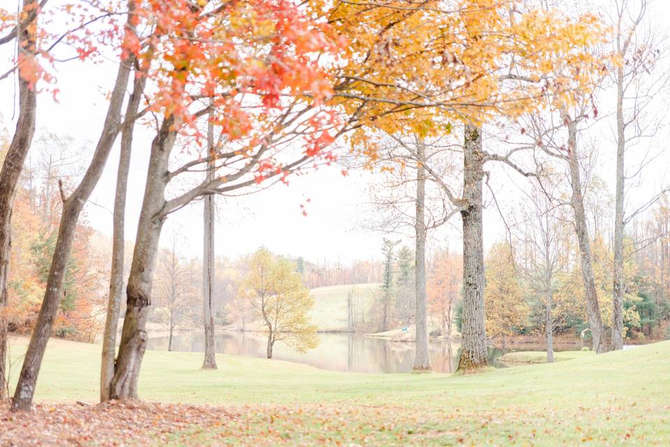 2020 fall beauty