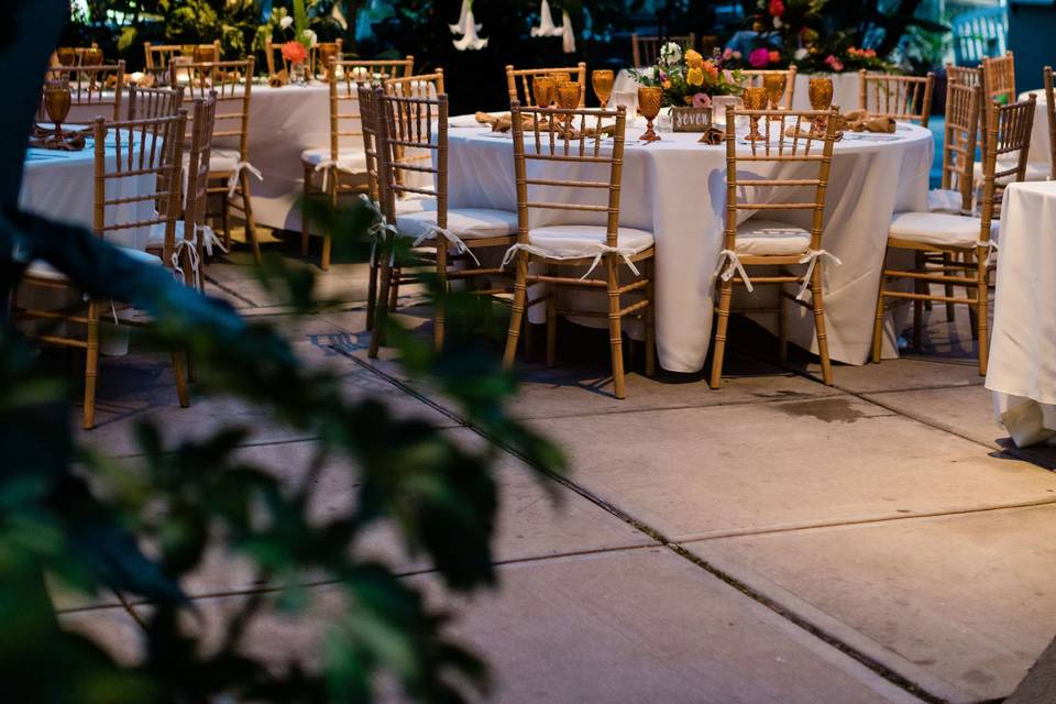 Wedding set up