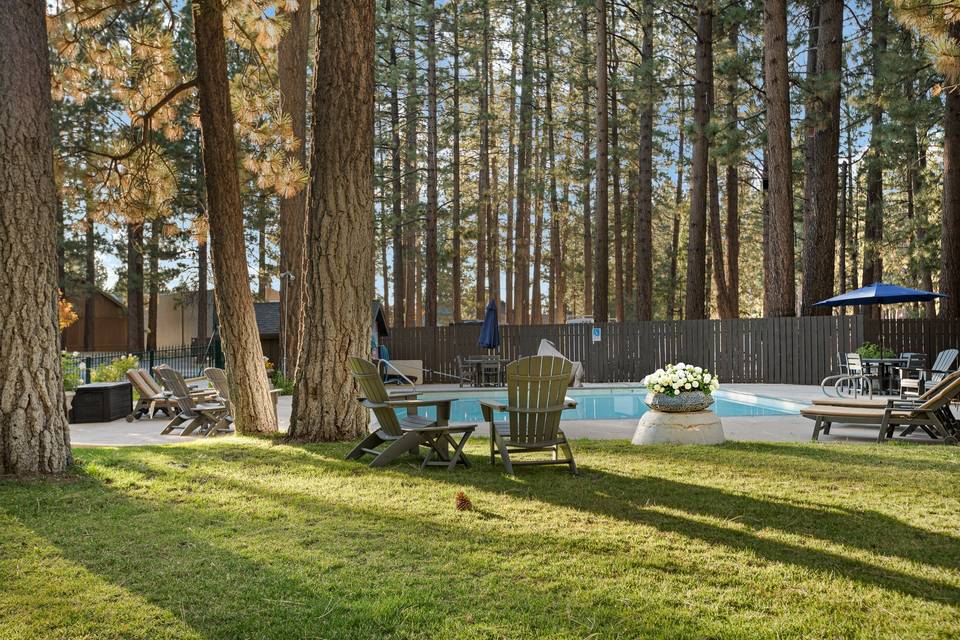 In The Pines
