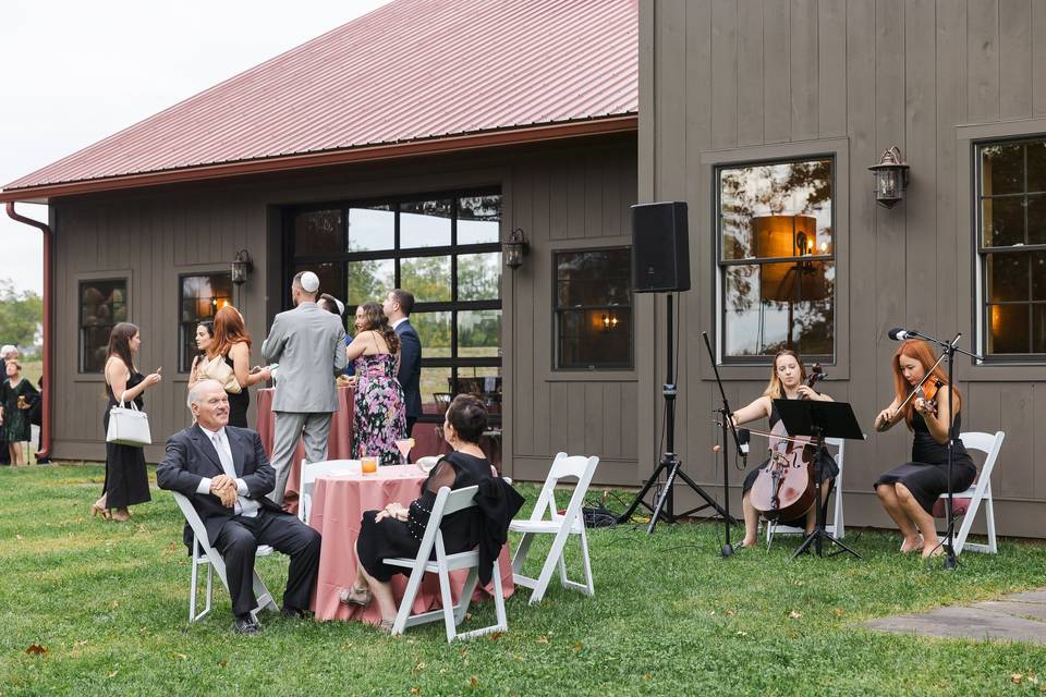 Cocktail hour on the lawn