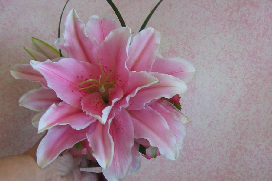 Composite Oriental Lily bouquet - perfect for attendants