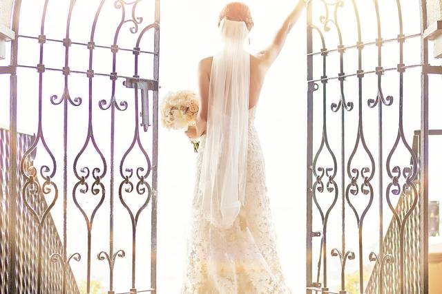 Alissa Melody Photography