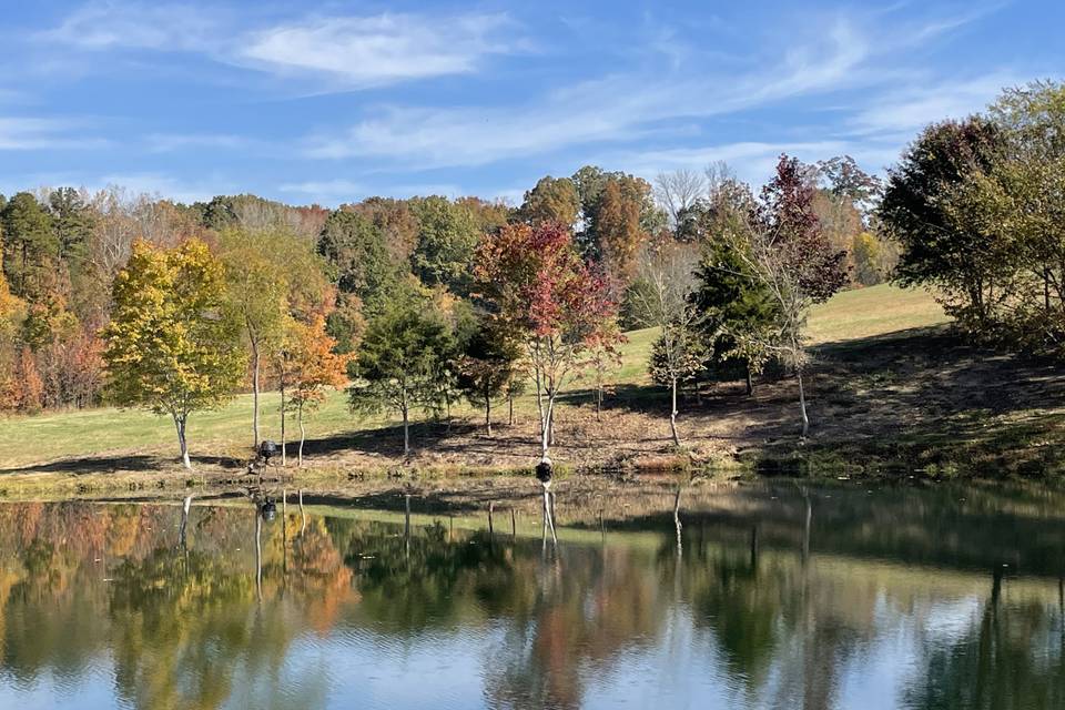 Pond in the fall