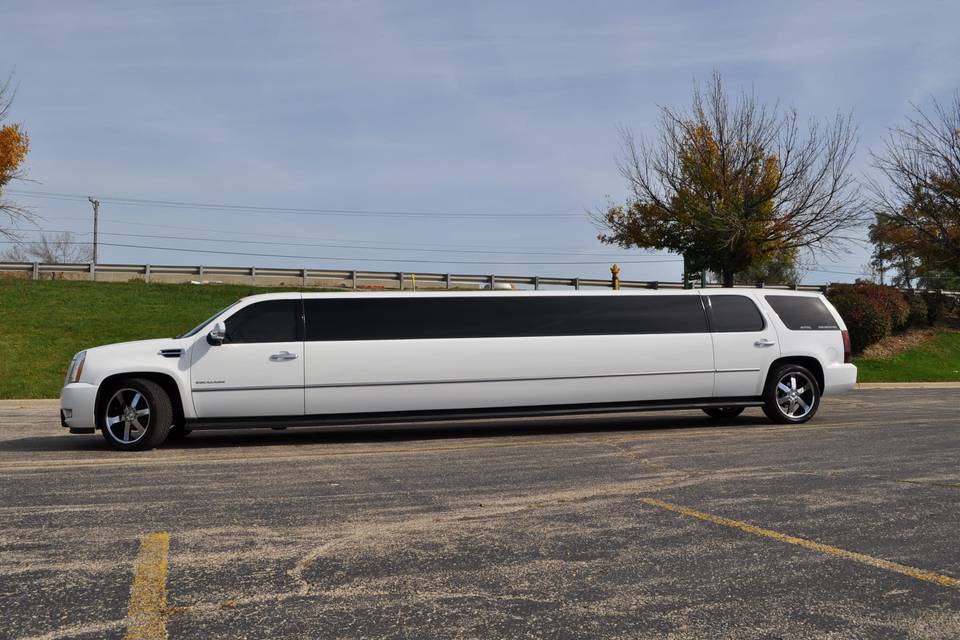 Avital Limousine