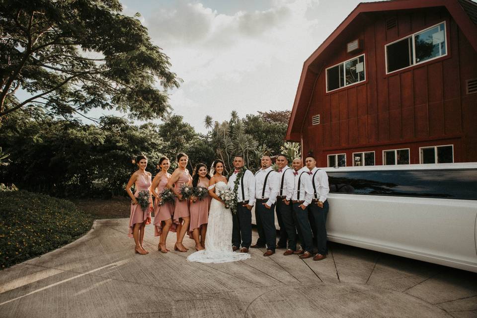 Hawaii Vista Weddings