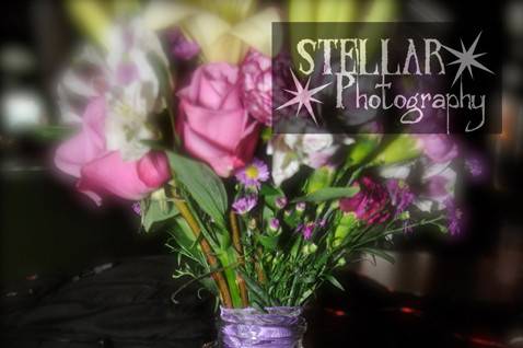Stellar Photography LLC